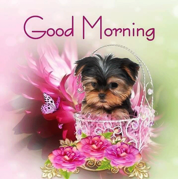 Good Morning 2022 GIF Image With Wishes Quotes