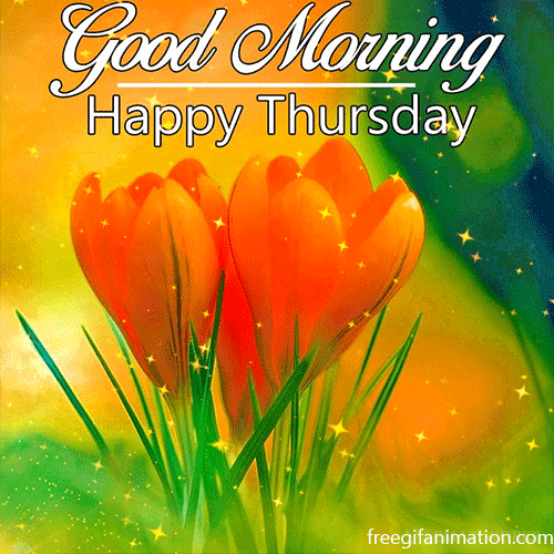 Happy Thursday GIF Happy Thursday Day GIF Image & Quotes
